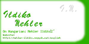 ildiko mehler business card